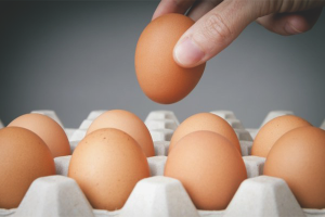 How to check the freshness of eggs