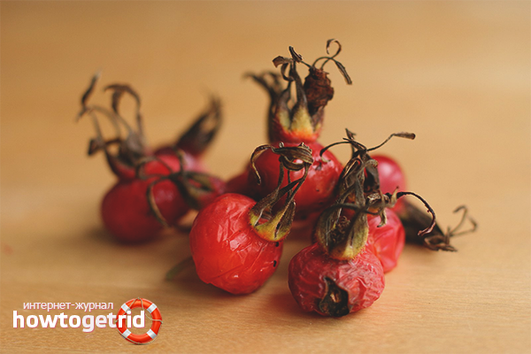 How to Dry Rosehip