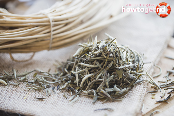 The benefits of white tea