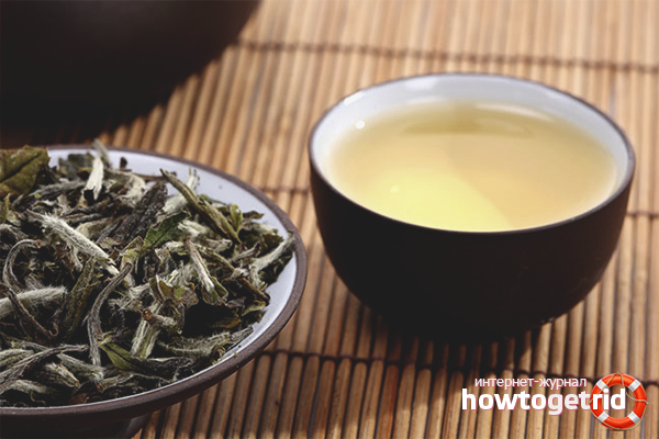 The benefits and harms of white tea