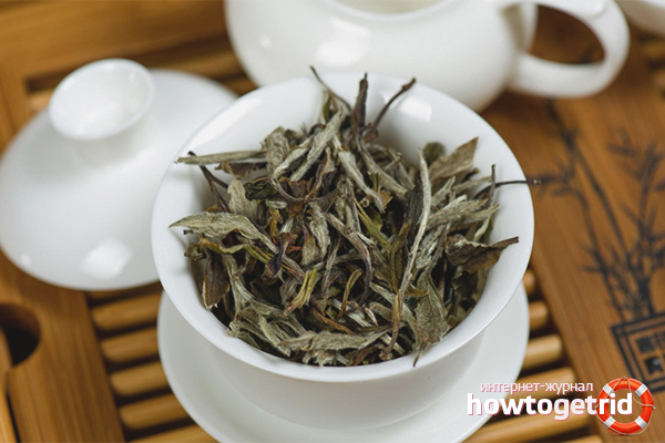 Contraindications to the reception of white tea