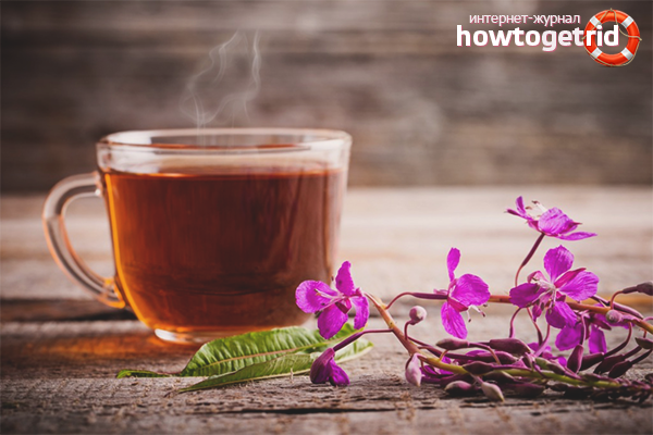 How to brew ivan tea