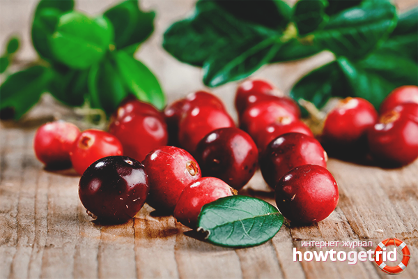 The benefits and harms of lingonberries