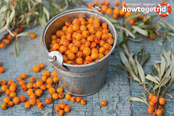 The benefits and harms of sea buckthorn for children