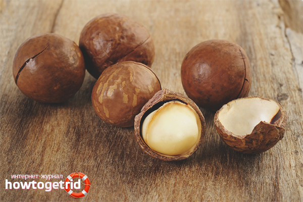The benefits and harms of macadamia nut