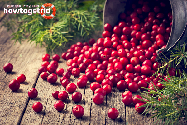 The use of lingonberries in cosmetology