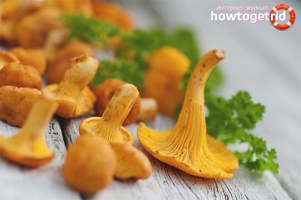 Chanterelles in cosmetology