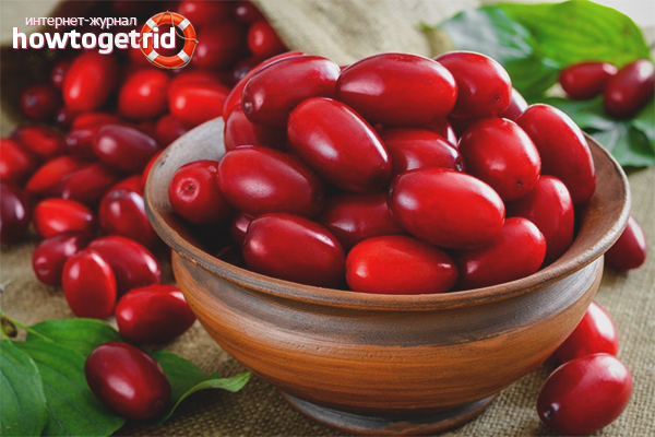 The benefits and harms of dogwood