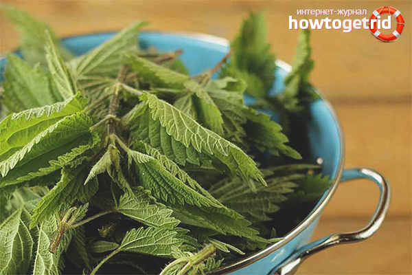 The benefits and harms of nettles