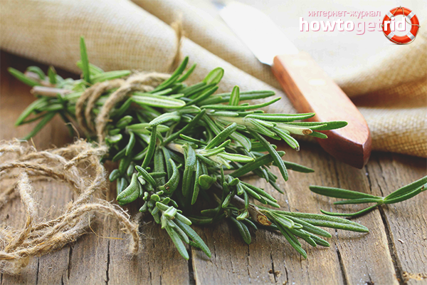 The benefits and harms of rosemary