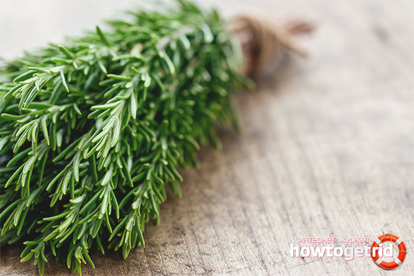 Rosemary in cosmetology