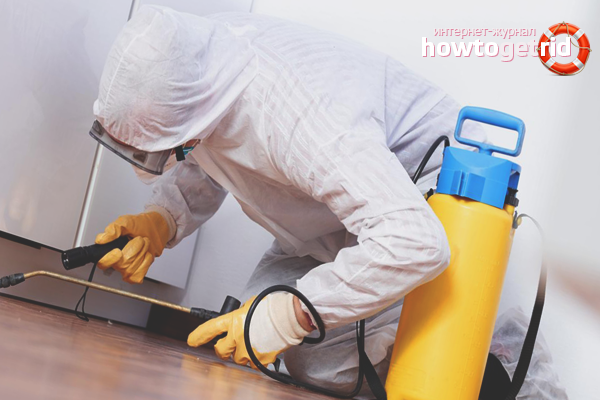 Technology for processing a room from bed bugs