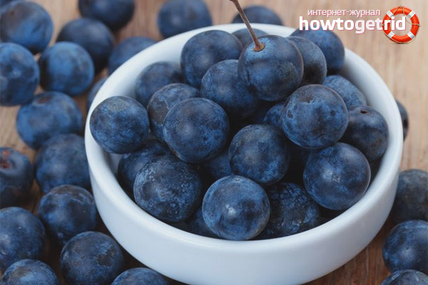 Useful properties and contraindications of thorns