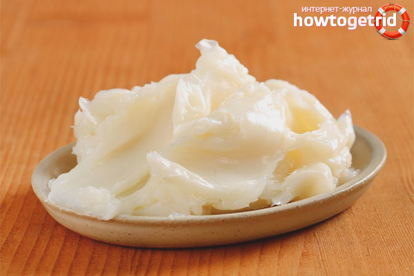 Medicinal properties and contraindications of badger fat