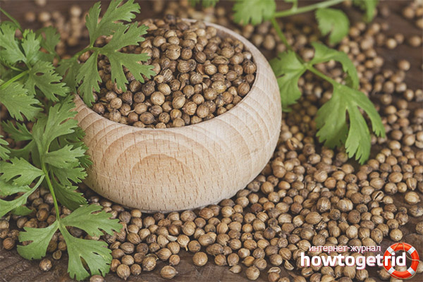 Coriander Recipes and Tips