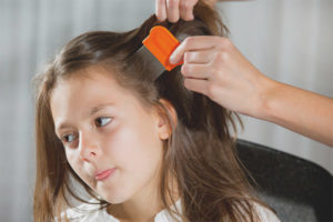 How to remove lice and nits in a child