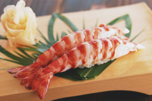 Breastfeeding shrimp