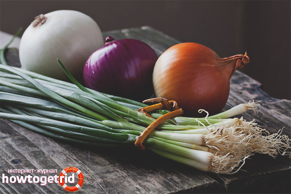 Useful properties of onions for breastfeeding