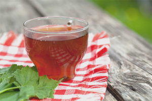 The benefits and harms of currant leaf tea