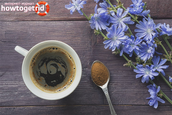 Chicory for diabetes