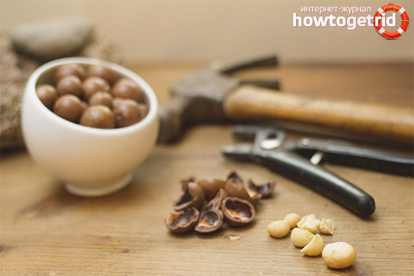 How to chop hazelnuts