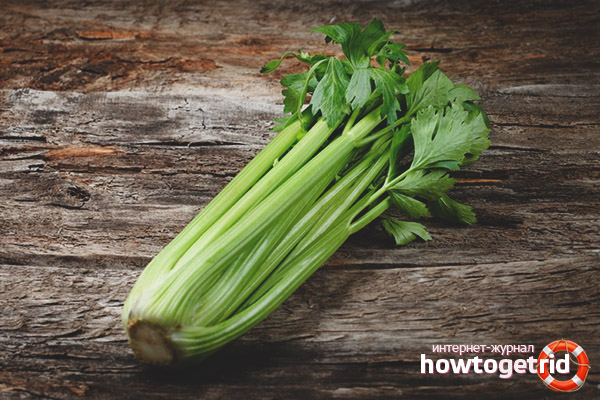 Celery contraindications for men