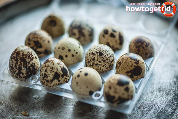 How many quail eggs can be consumed daily