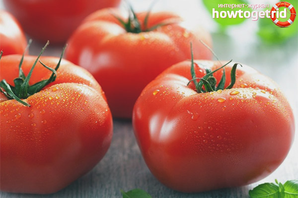 Diseases and pests of tomatoes Strawberry dessert