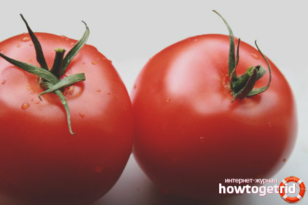 Reviews about tomato Katrina F1