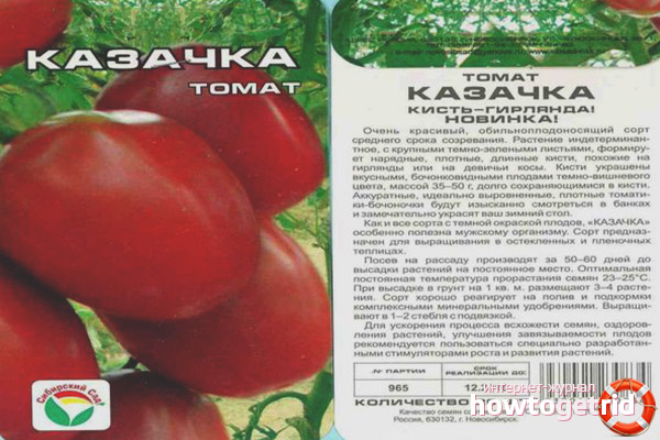 Tomato Cossack