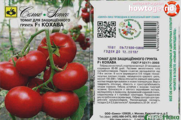 Tomato Kohawa F1