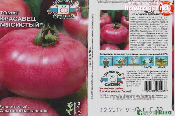 Tomato handsome meaty