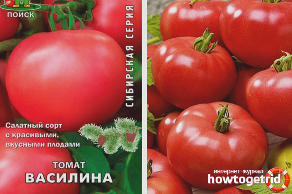 Tomato Vasilina