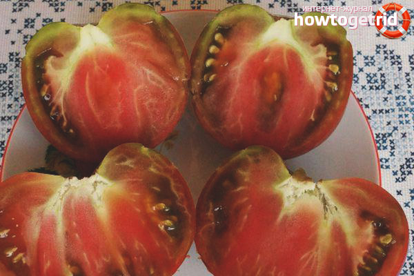 Description of tomatoes Lilac Lake