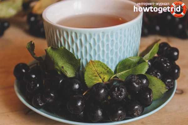 Chokeberry tea recipes