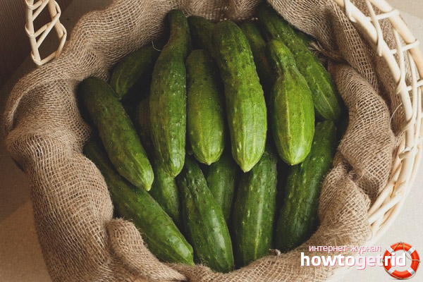 Cucumber Relay Relay F1