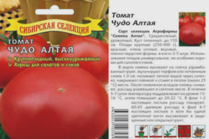 Tomato Miracle of Altai