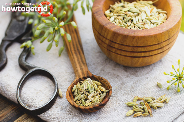 Fennel seeds