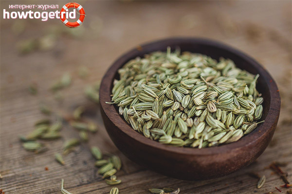 Harm and contraindications for fennel seeds